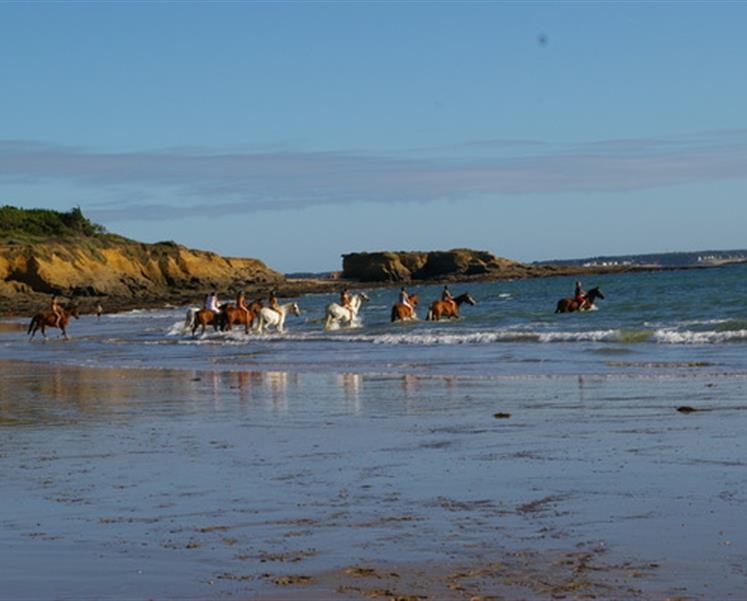 horse riding campsite brittany - RESIDENCE LES ILES PENESTIN