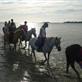 horse riding campsite brittany