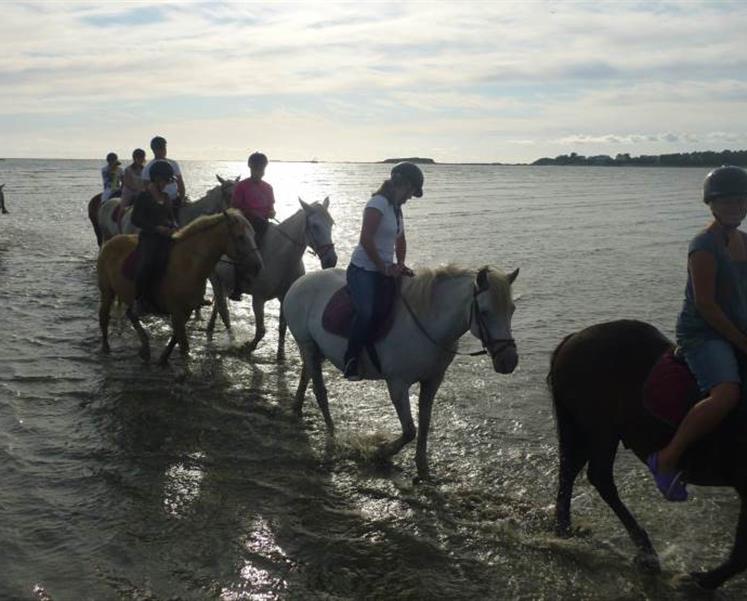 horse riding campsite brittany - RESIDENCE LES ILES PENESTIN