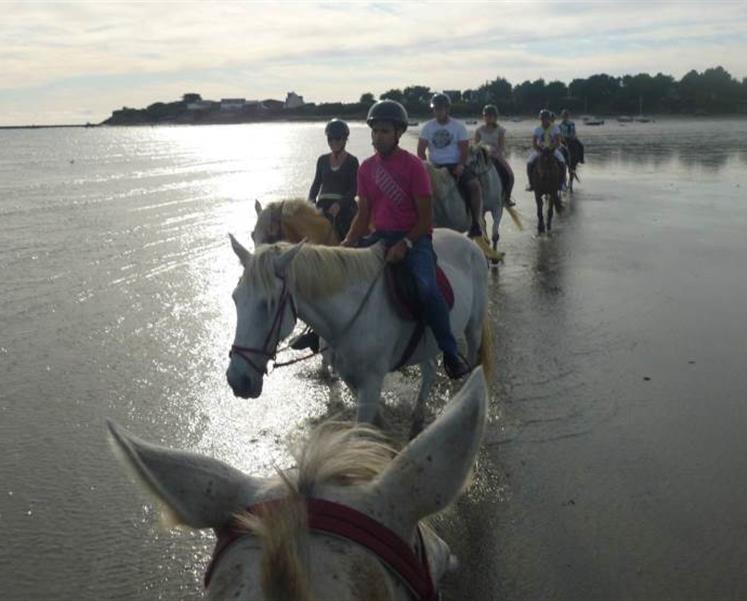 horse riding campsite brittany - RESIDENCE LES ILES PENESTIN