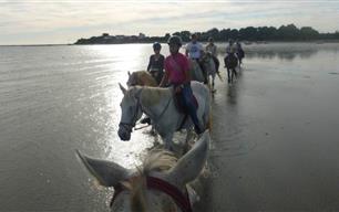 horse riding campsite brittany - RESIDENCE LES ILES PENESTIN