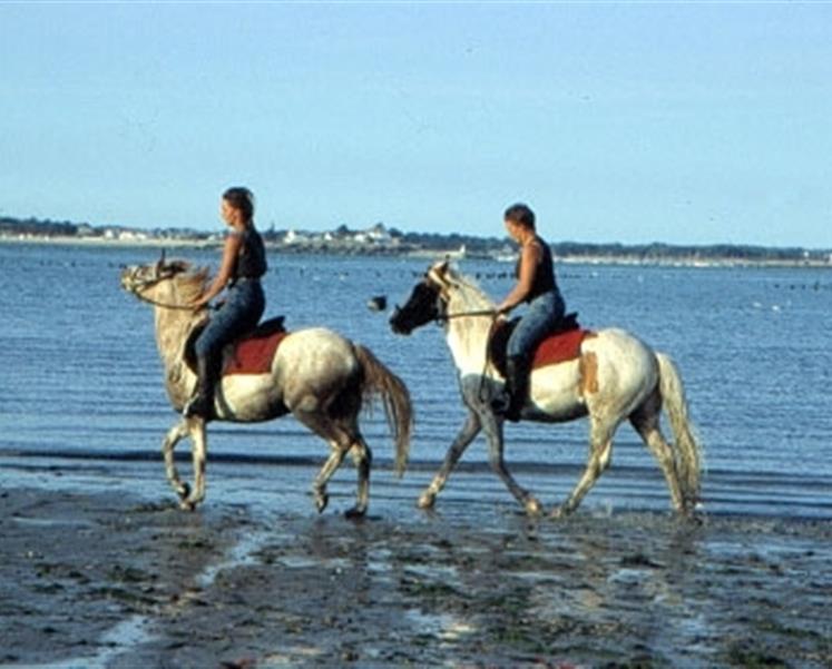 horse riding campsite brittany - RESIDENCE LES ILES PENESTIN