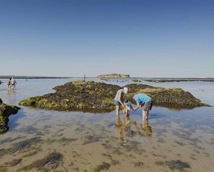 residence les iles penestin south brittany - RESIDENCE LES ILES PENESTIN