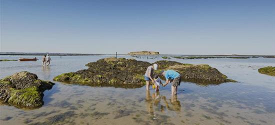 residence les iles penestin south brittany - RESIDENCE LES ILES PENESTIN