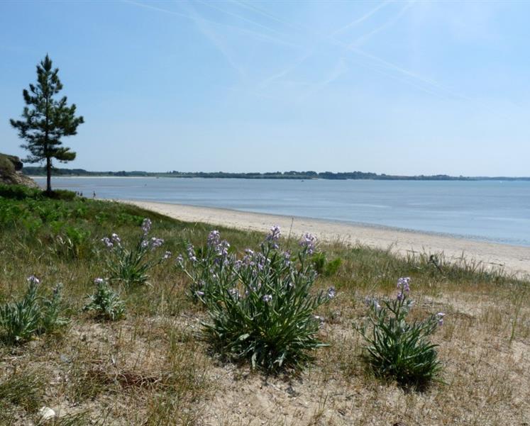 RESIDENCE LES ILES PENESTIN