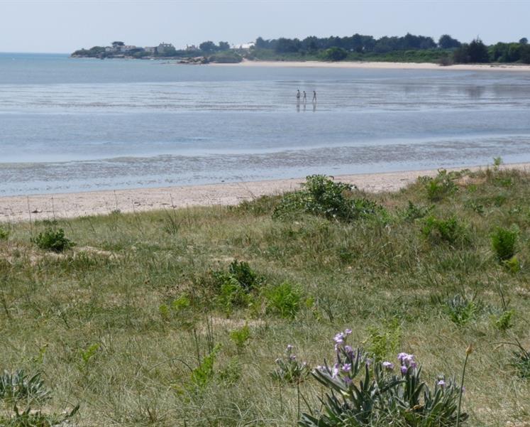 RESIDENCE LES ILES PENESTIN
