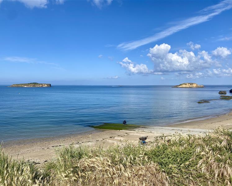 RESIDENCE LES ILES PENESTIN
